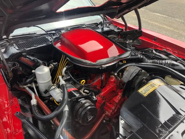 1979 Pontiac Trans Am
